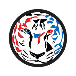 Tiger’s Eye Academy